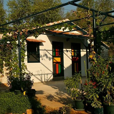 Maison d'hôtes Eco-art Farm