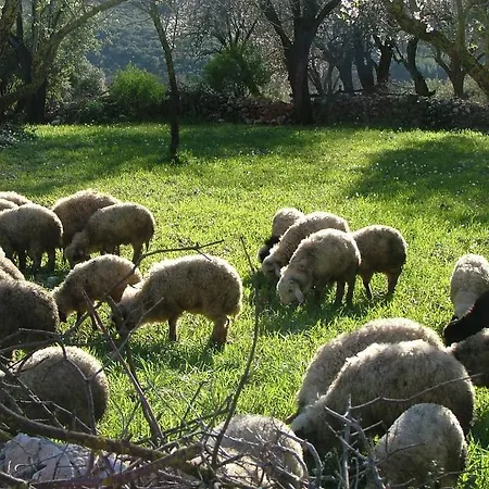 Eco-art Farm Kaş
