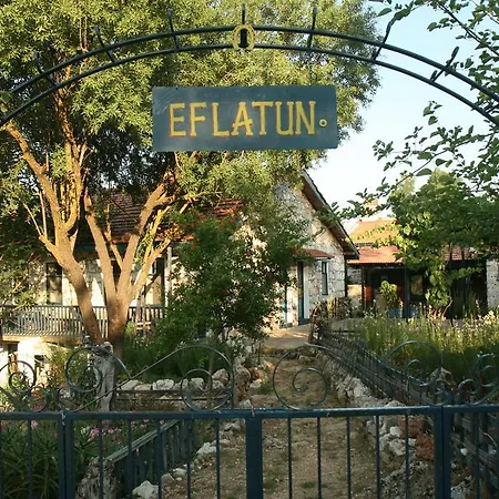 Eco-art Farm * Kas