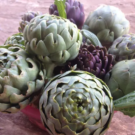 Eco-art Farm Kas