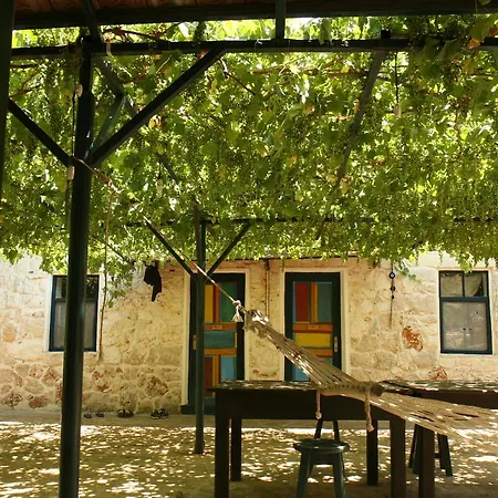 Eco-art Farm Maison d'hôtes *