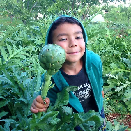 Maison d'hôtes Eco-art Farm Kaş