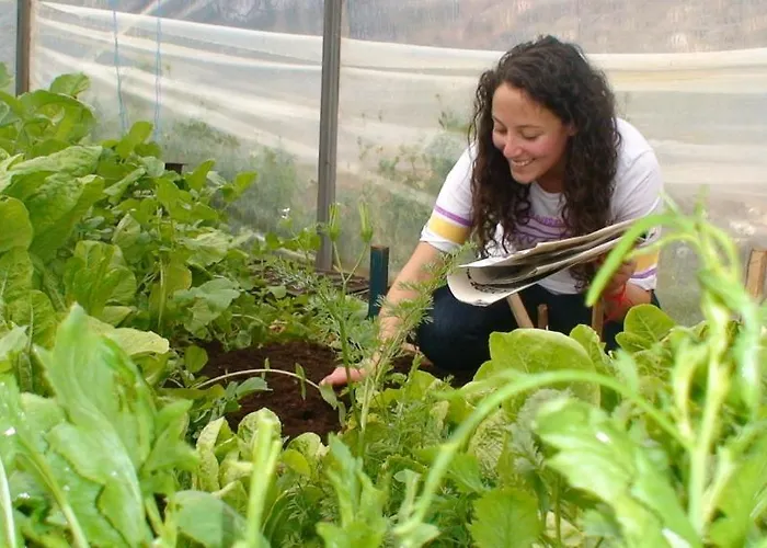 Eco-art Farm *