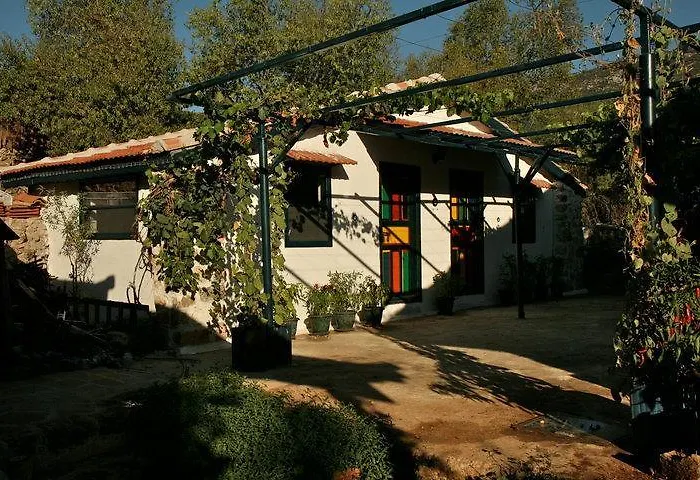 Eco-art Farm