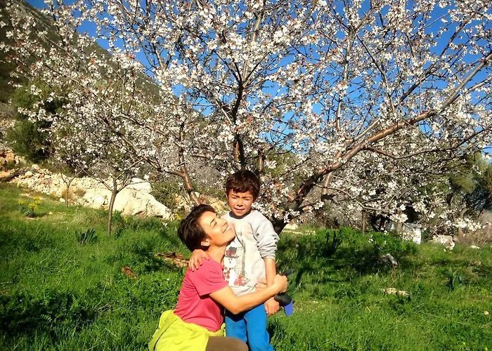Affittacamere Eco-art Farm Kaş