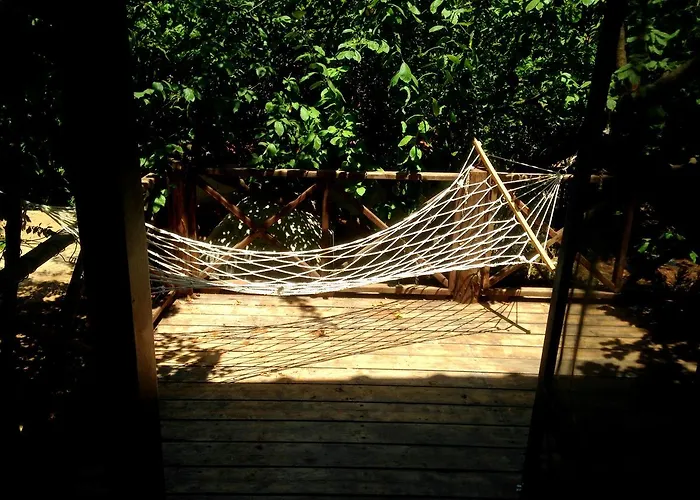 Eco-art Farm *