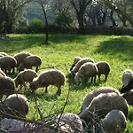Eco-art Farm Kaş