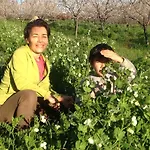 Penzion Eco-art Farm