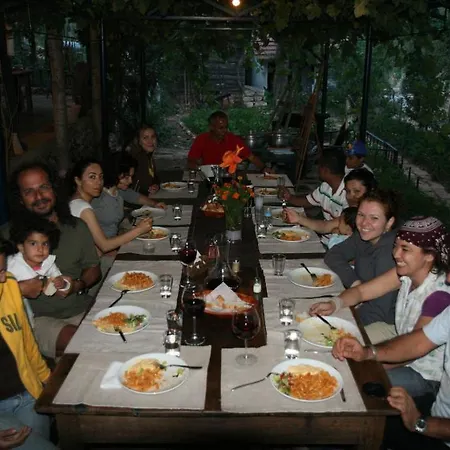 Eco-art Farm Pensión