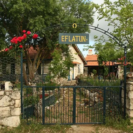 Pensión Eco-art Farm