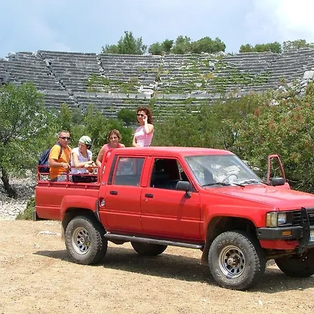 Eco-art Farm Pensión
