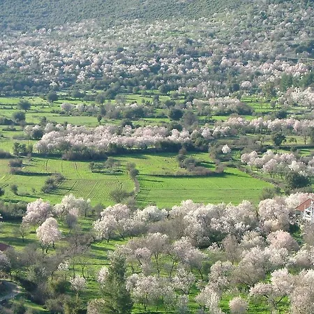 Pensión Eco-art Farm *