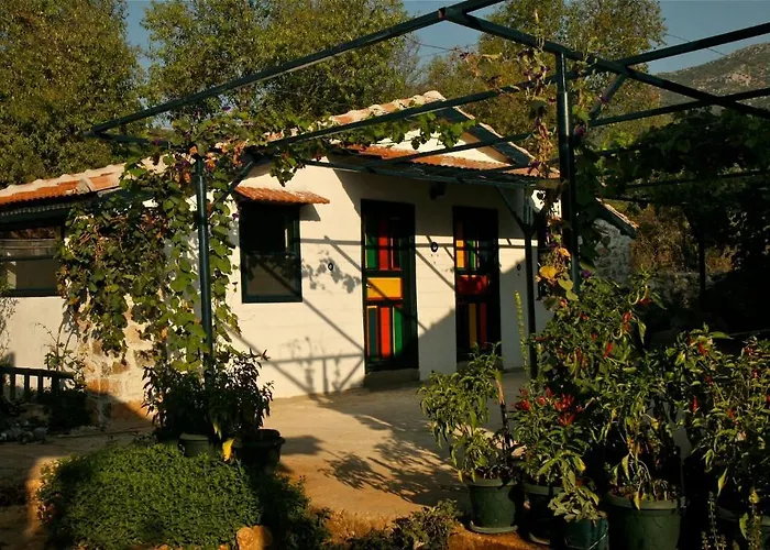 Гостевой дом Eco-art Farm