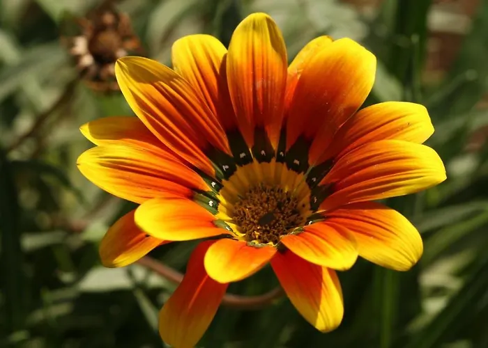 Eco-art Farm Гостевой дом