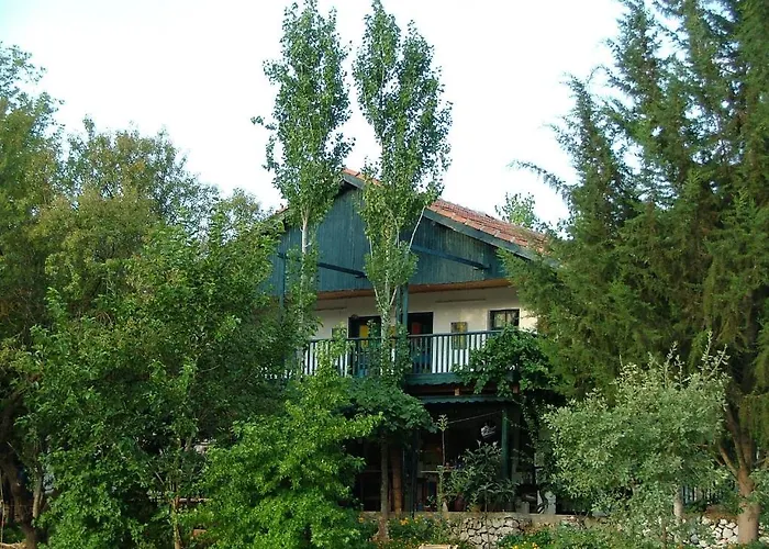 Eco-art Farm Гостевой дом Каш