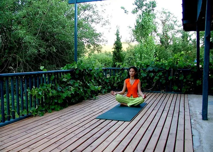 Eco-art Farm Гостевой дом *