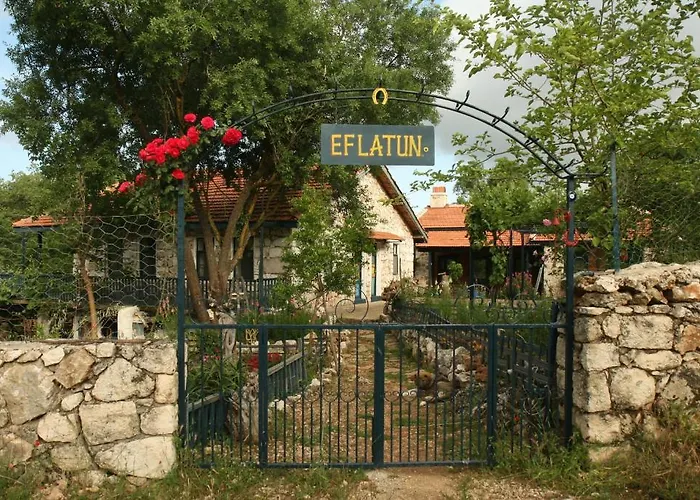 Гостевой дом Eco-art Farm