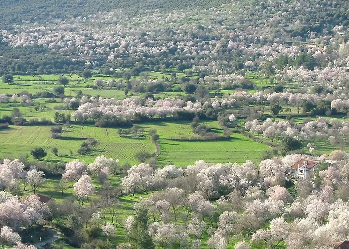 Гостевой дом Eco-art Farm *