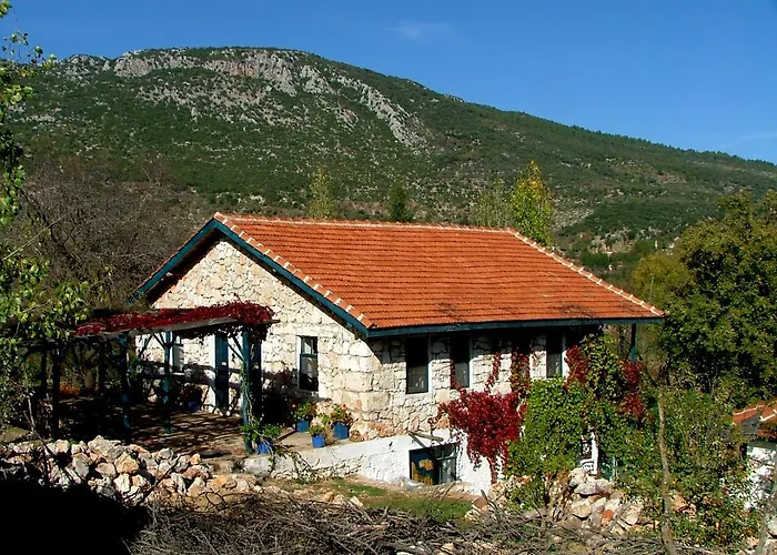 Eco-art Farm *