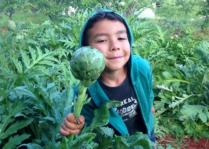 Гостевой дом Eco-art Farm Каш