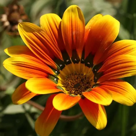 Eco-art Farm 게스트하우스