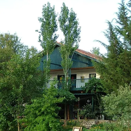 Eco-art Farm 게스트하우스 카스